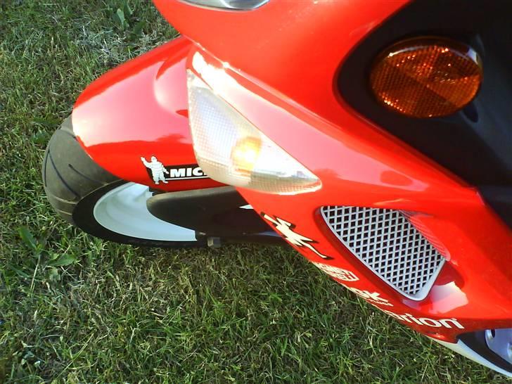 Peugeot 307 WRC billede 5