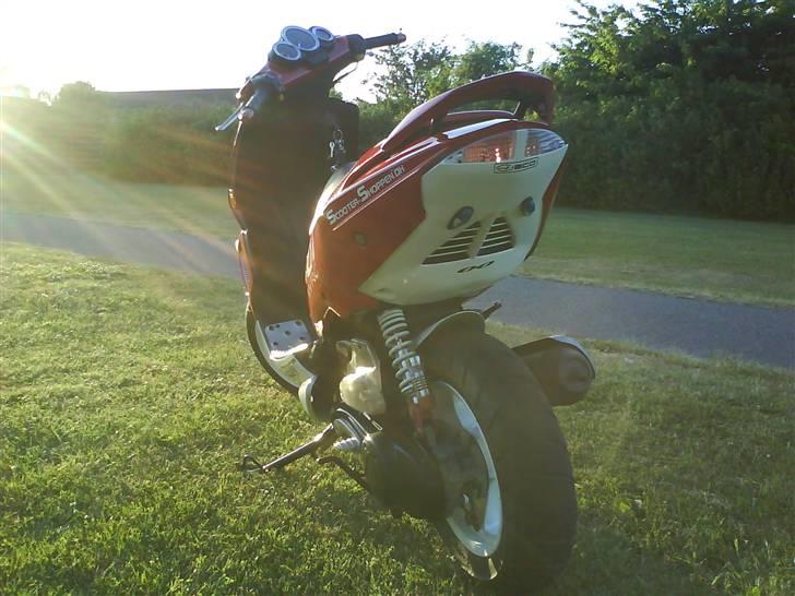 Peugeot 307 WRC billede 10