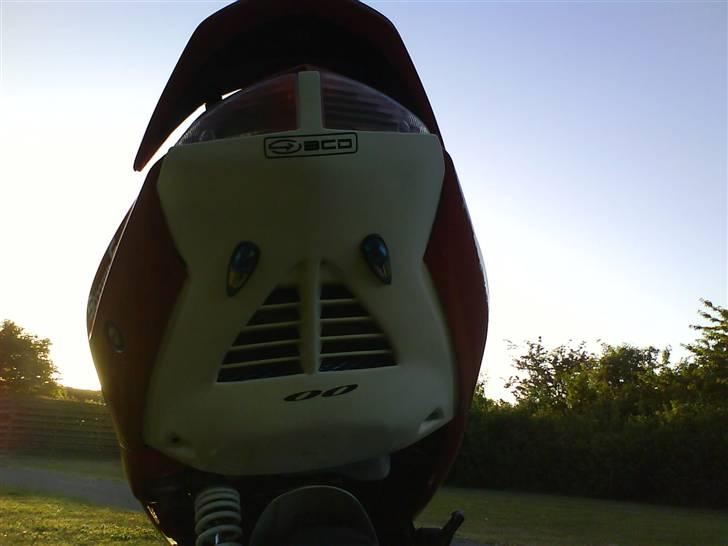 Peugeot 307 WRC billede 11