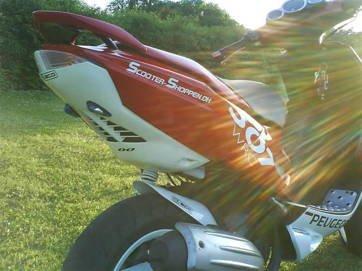 Peugeot 307 WRC billede 13