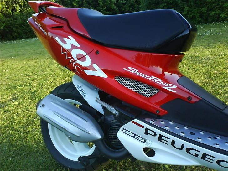 Peugeot 307 WRC billede 14