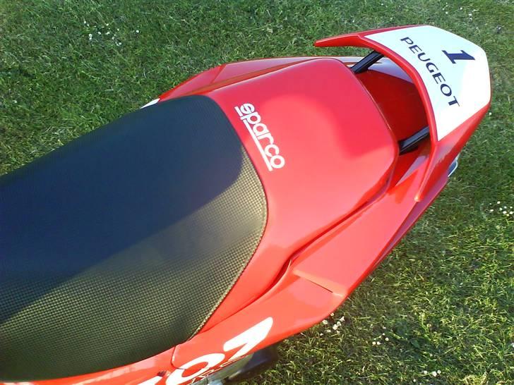 Peugeot 307 WRC billede 18