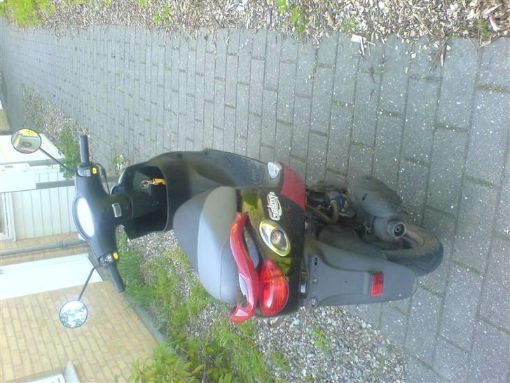 PGO Galaxy 50 SOLGT billede 3