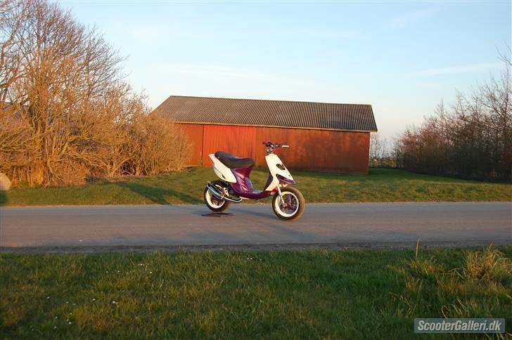 Gilera Stalker lc Ts DD solgt billede 14