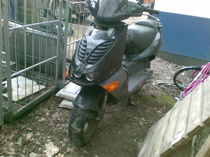 PGO Hot50 LC DD Projekt billede 1