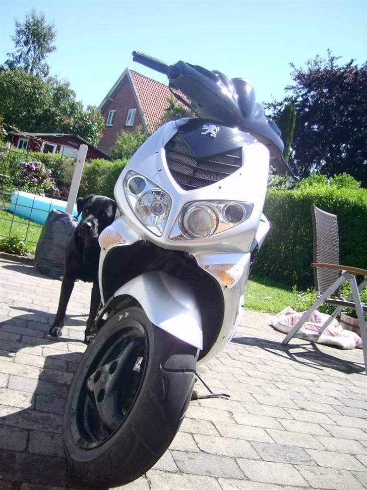 Peugeot Speedfight 2 Ac *Unique* billede 14