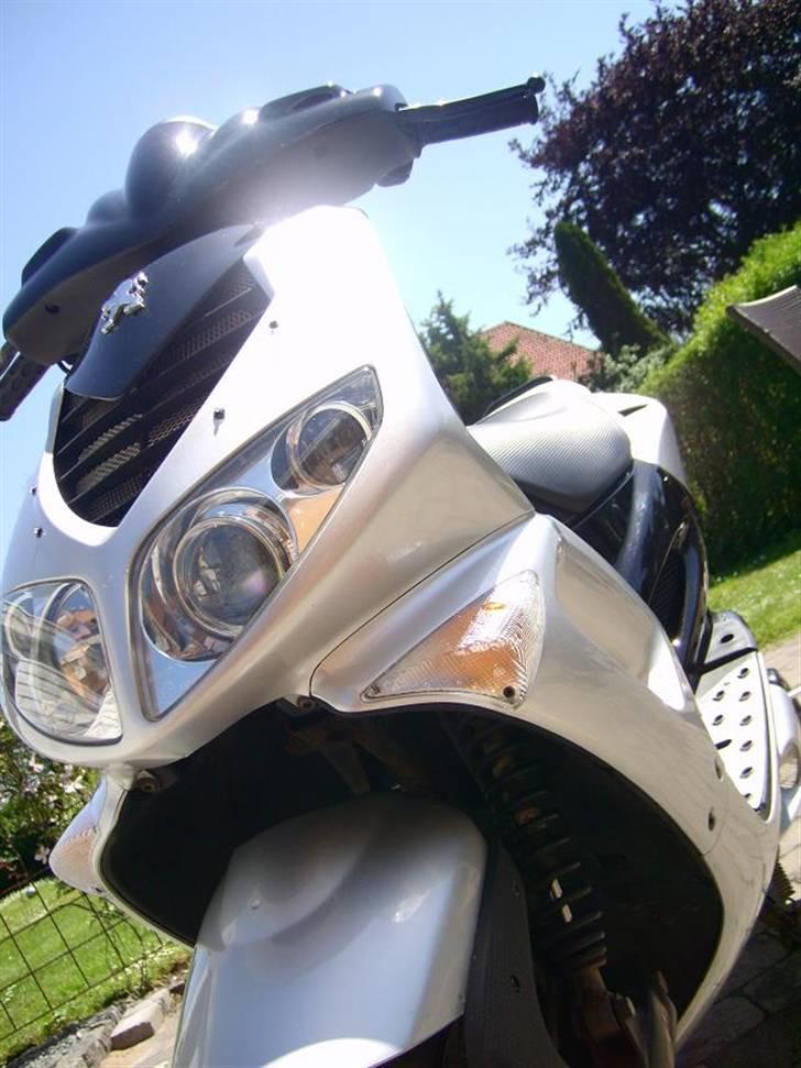 Peugeot Speedfight 2 Ac *Unique* billede 15