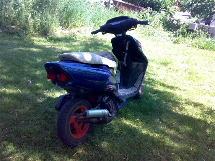 Honda SFX Repsol billede 4