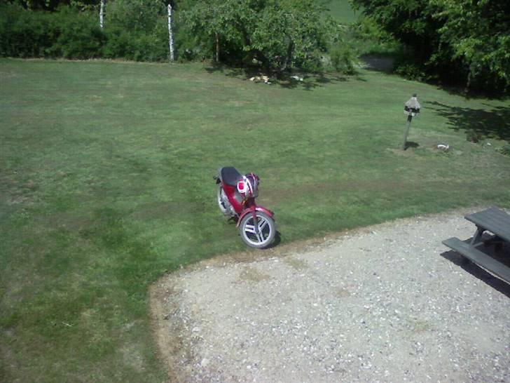 Honda Wallaroo power billede 13