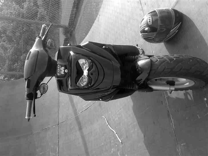 PGO hot 50 billede 8