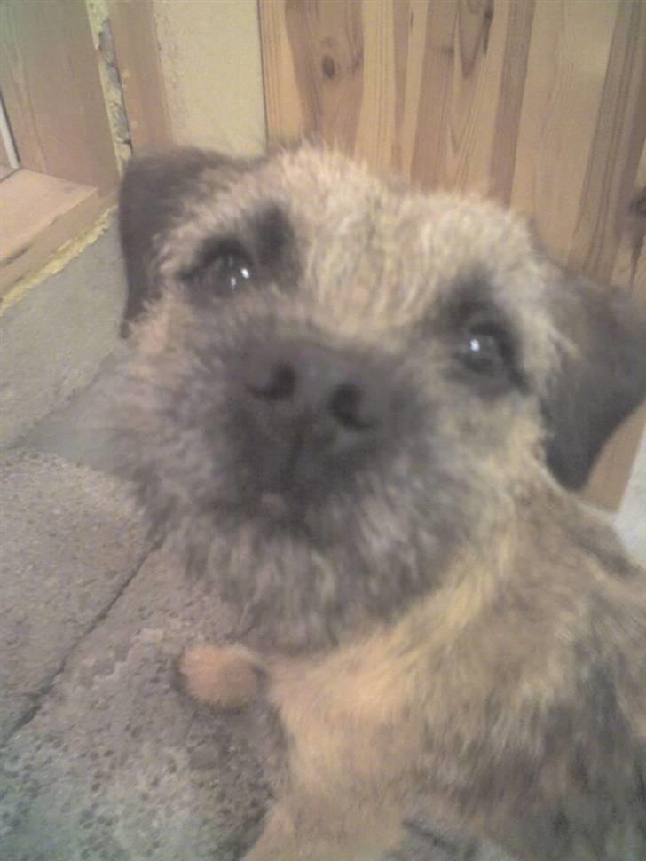 Yamaha Fs1 - 4gear - DX (Byttet) billede 4