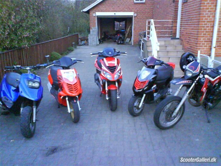 Gilera SMT billede 11