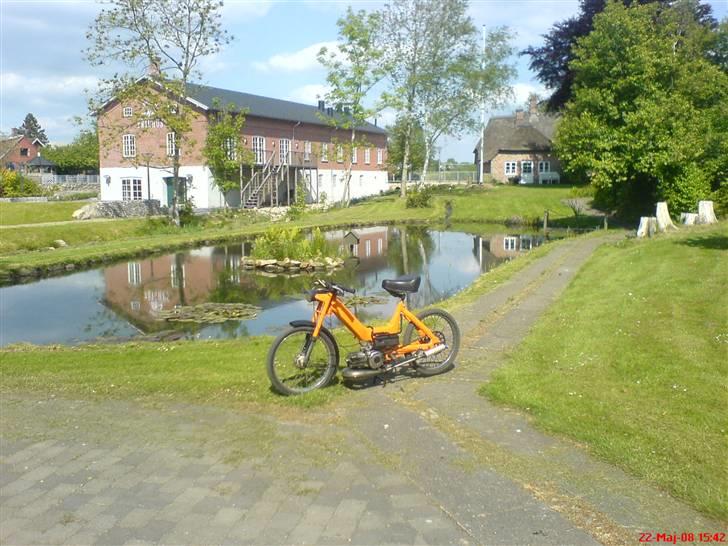 Puch Maxi "Low Rider" (Nu) billede 8