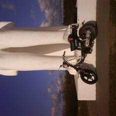 Suzuki FZ50 - (  SOLGT  )