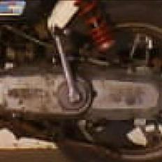 Suzuki FZ50 - (  SOLGT  )