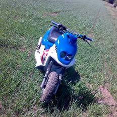 PGO pmx byttet til fz og bws 