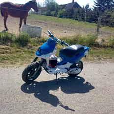 PGO pmx byttet til fz og bws 