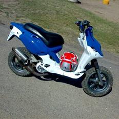 PGO pmx byttet til fz og bws 