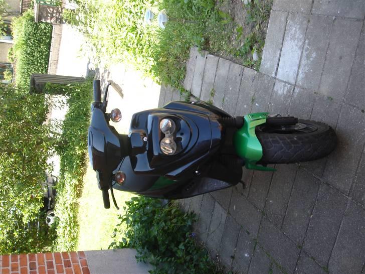 PGO hot 50 billede 1