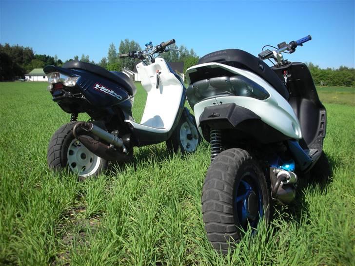 Gilera stalker AC SD BYTTET! - team lays :D! billede 11