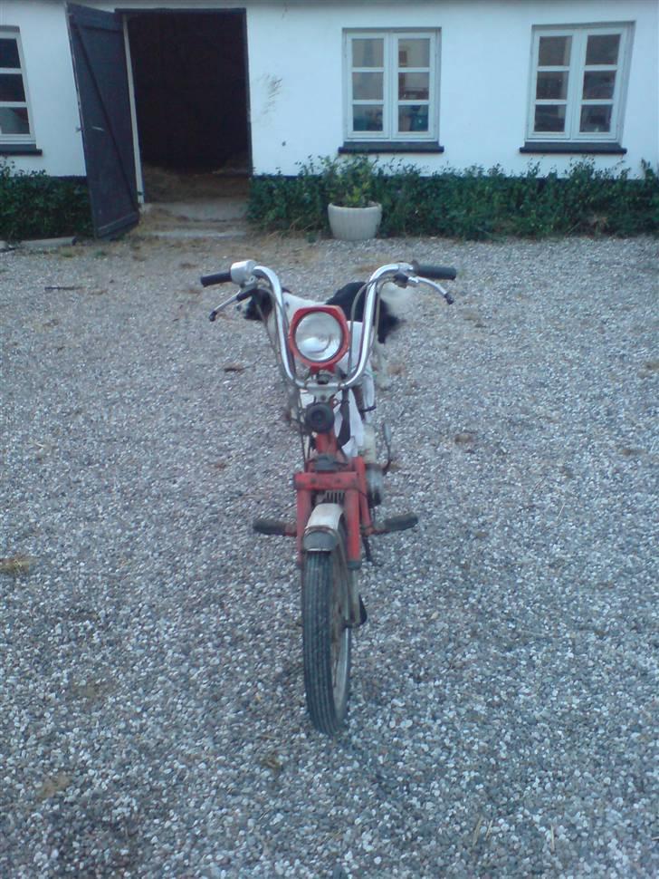 Honda Express billede 3
