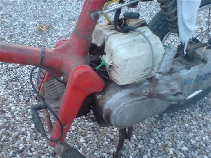 Honda Express billede 7