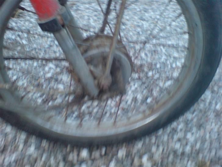 Honda Express billede 10