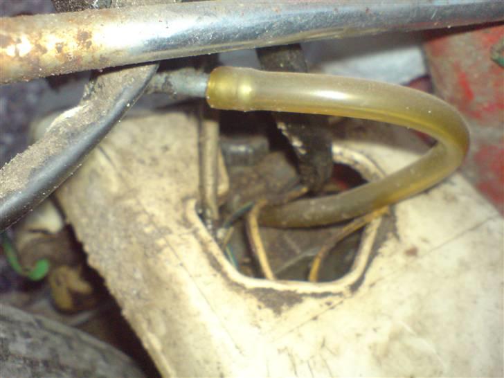 Honda Express billede 11