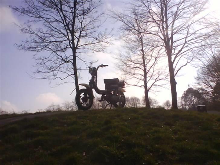 Suzuki FZ50 - (  SOLGT  ) billede 4