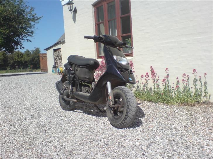 Piaggio Typhoon {solgt} billede 3