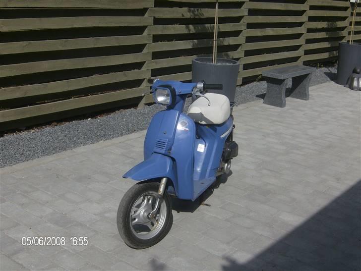 Honda Melody billede 1