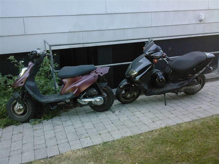 PGO DR.BIG Night Rider solgt billede 16