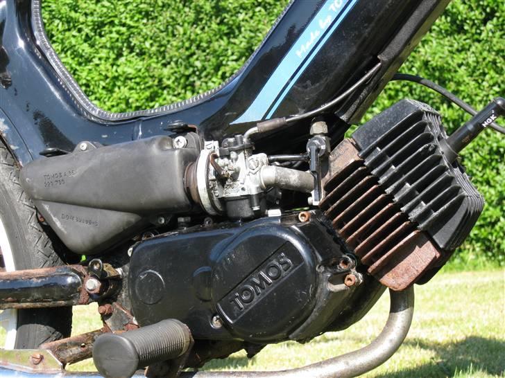 Tomos quadro A-35 billede 6