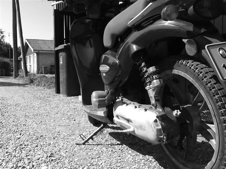 Aprilia Scarabeo Racing billede 12