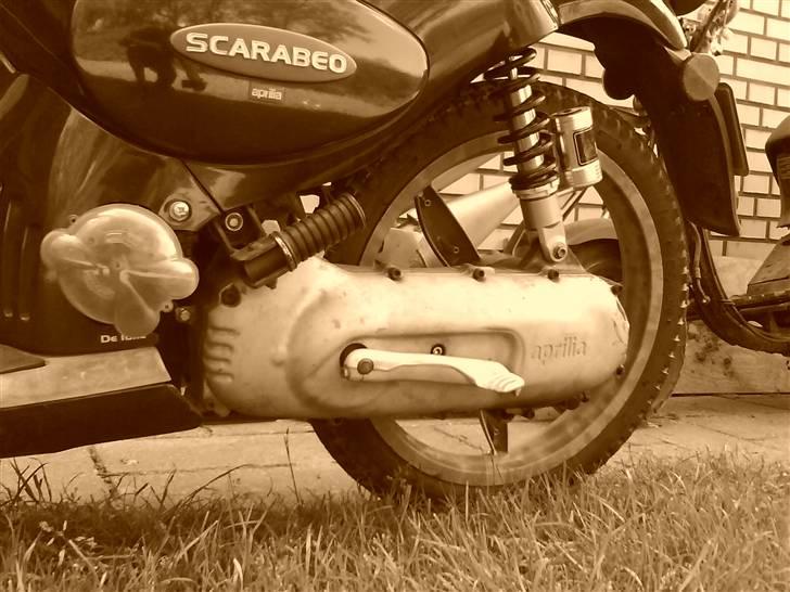 Aprilia Scarabeo Racing billede 17