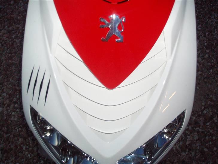 Peugeot Speedfight 2 R-Cup billede 9