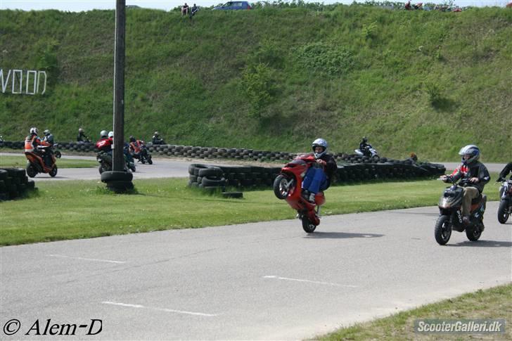 Aprilia sonic Evo Byttet billede 2