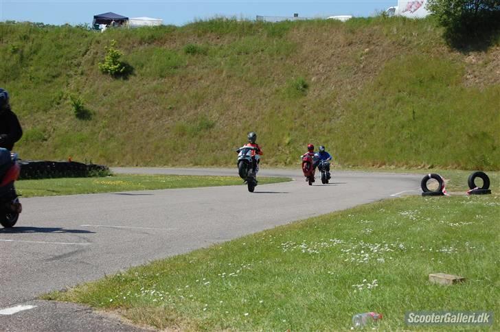 Aprilia sonic Evo Byttet billede 9