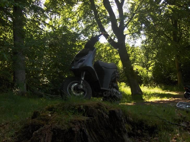 Piaggio Typhoon AC SD stjålet:/. - FOTOGRAF: RASMUS JAKOBSEN billede 1