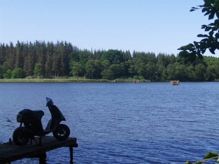 Piaggio Typhoon AC SD stjålet:/. - FOTOGRAF: RASMUS JAKOBSEN billede 2