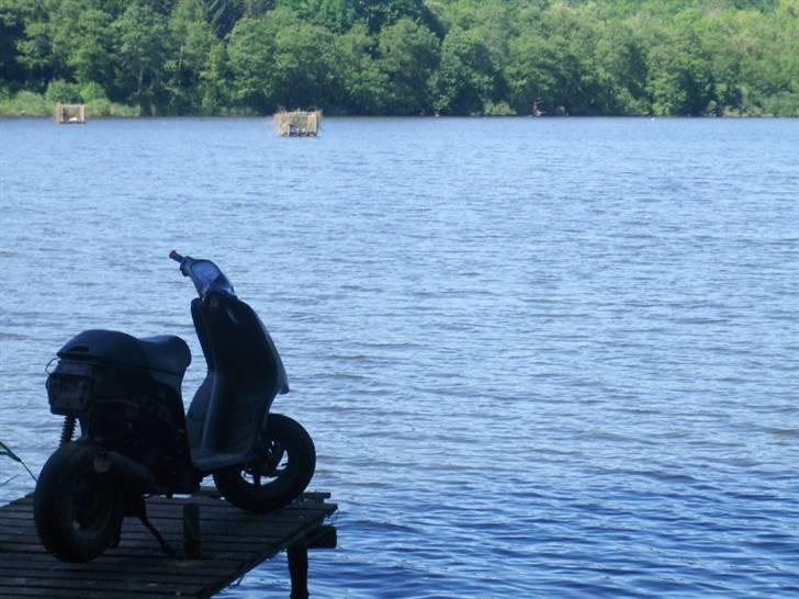 Piaggio Typhoon AC SD stjålet:/. - FOTOGRAF: RASMUS JAKOBSEN billede 3