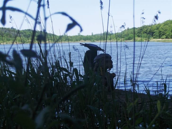 Piaggio Typhoon AC SD stjålet:/. - FOTOGRAF: RASMUS JAKOBSEN billede 8