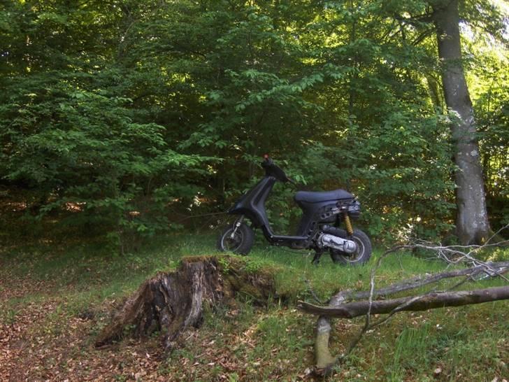 Piaggio Typhoon AC SD stjålet:/. - FOTOGRAF: RASMUS JAKOBSEN billede 10