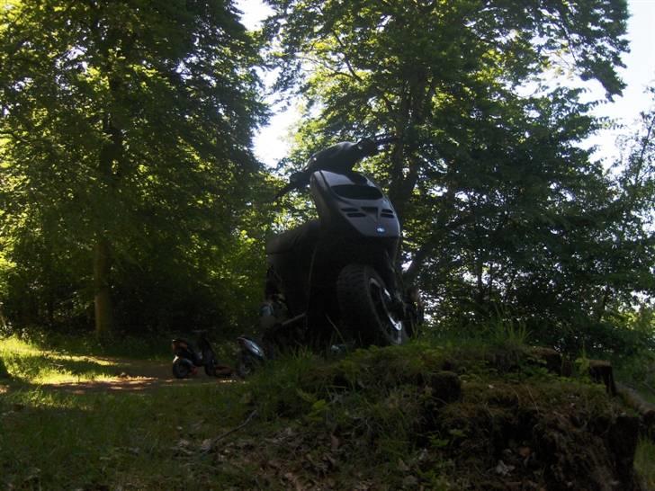 Piaggio Typhoon AC SD stjålet:/. - FOTOGRAF: RASMUS JAKOBSEN billede 11