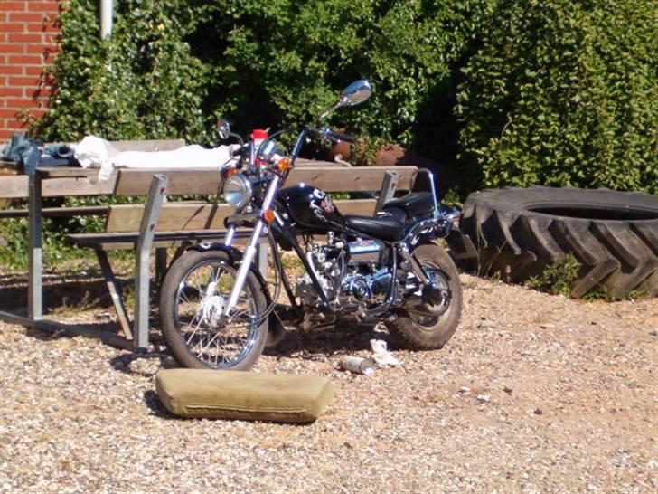 Regal raptor dadyw 50 "solgt" billede 1