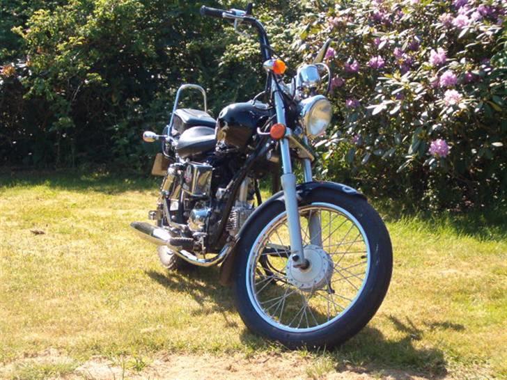 Regal raptor dadyw 50 "solgt" billede 3