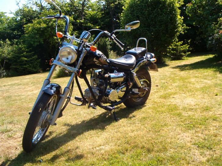 Regal raptor dadyw 50 "solgt" billede 4