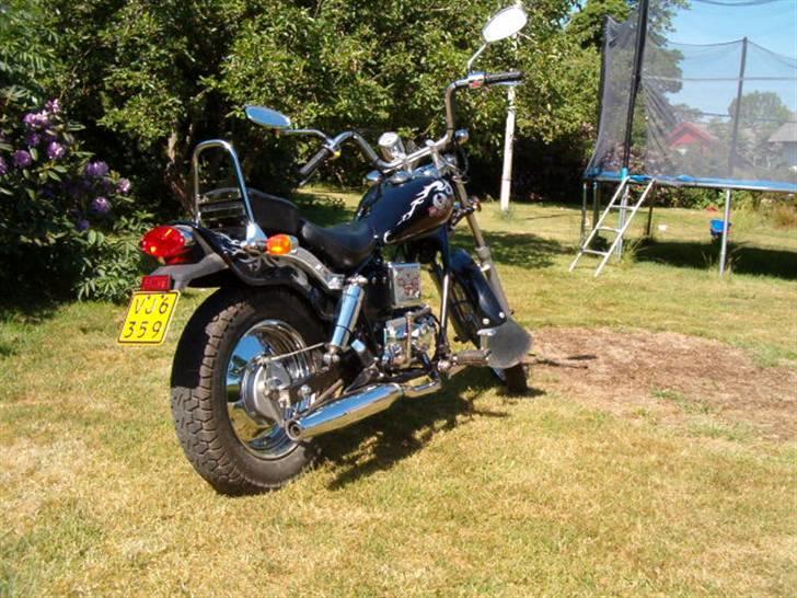 Regal raptor dadyw 50 "solgt" billede 5