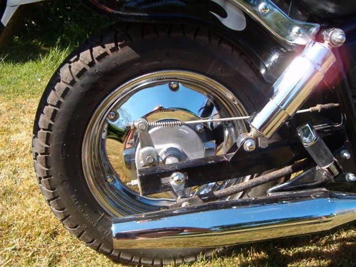 Regal raptor dadyw 50 "solgt" billede 6