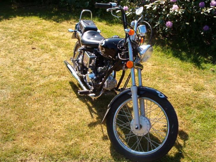 Regal raptor dadyw 50 "solgt" billede 8